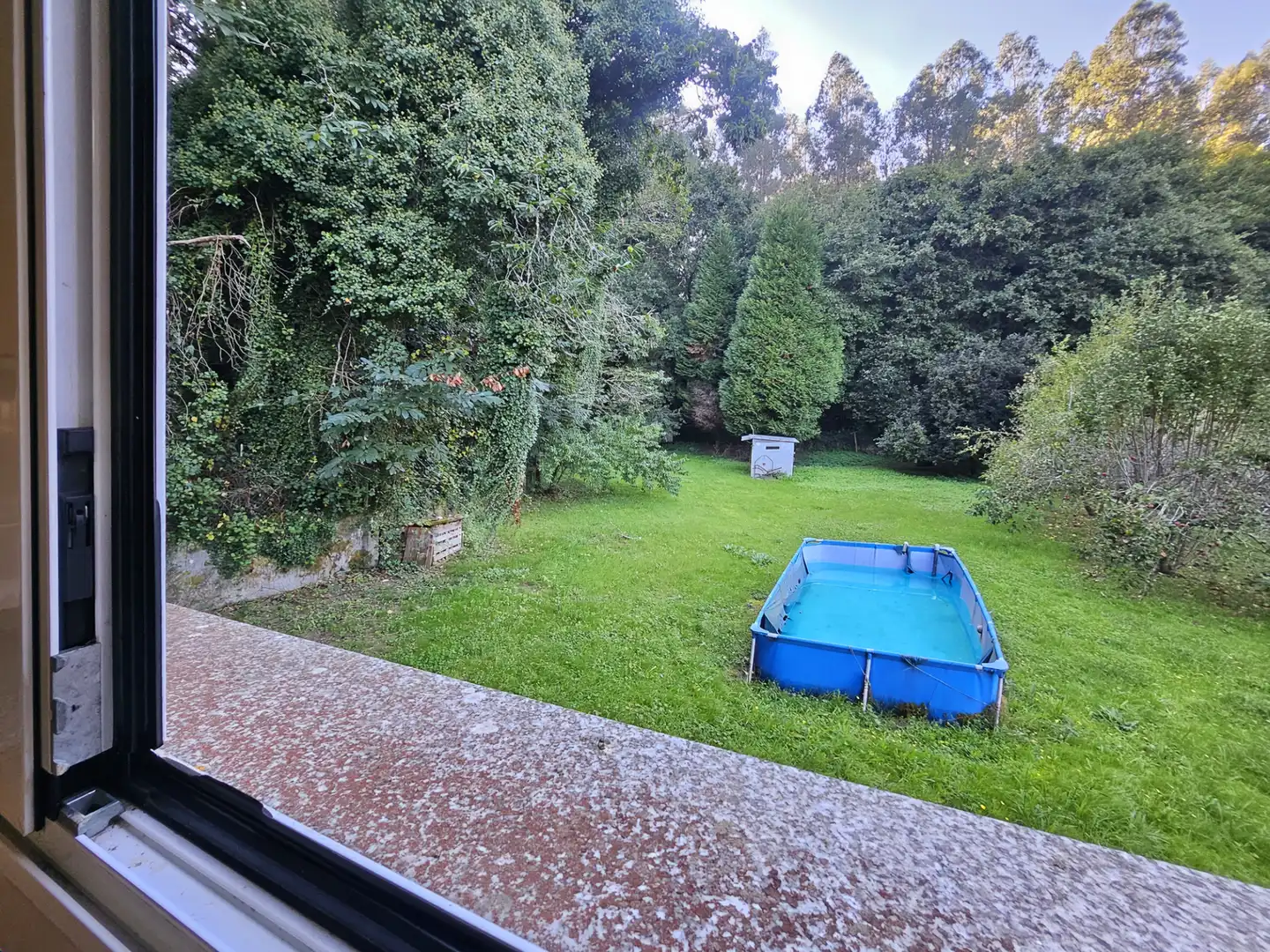Jardín de Casa o chalet en venta en Bergondo, A Coruña