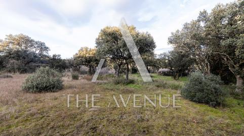 Foto 3 de Residencial en venda a Raya del Palancar - Guadamonte, Villanueva de la Cañada