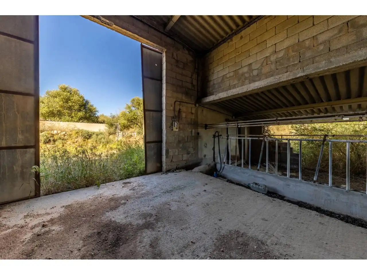 Terreno rustico in vendita a Llucmajor pueblo, imagen 66