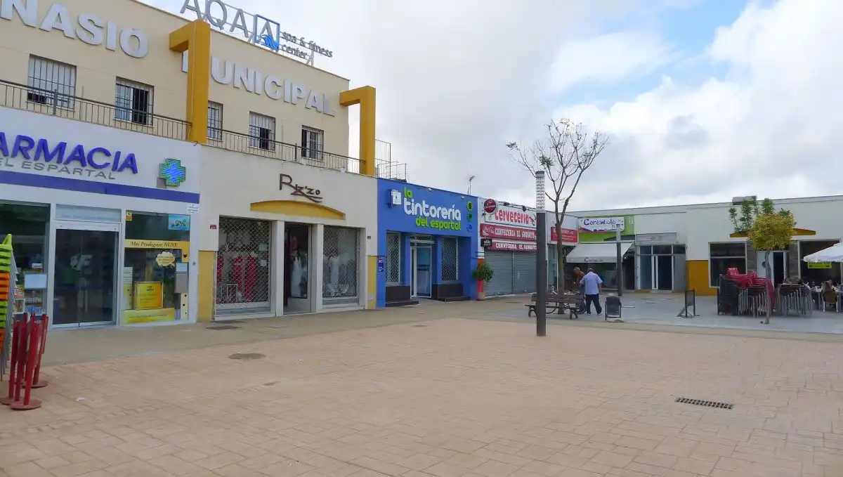 Commercial properties for sale in Espartinas  with Air Conditioner