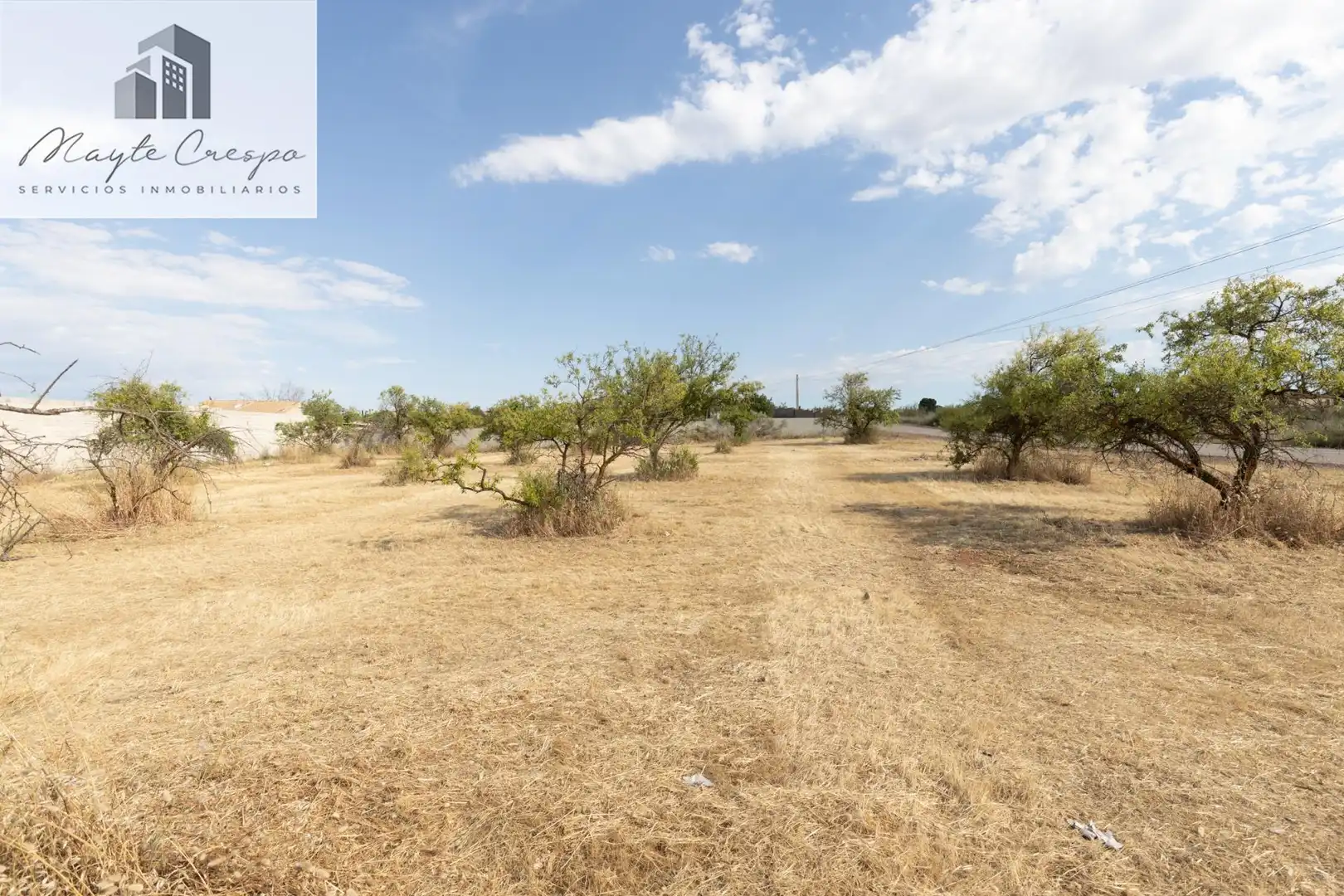 Rural land for sale in Moraleda de Zafayona, imagen 13