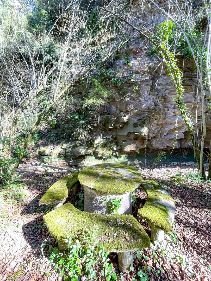 Casa rústica con jardín en venta en Can Coime, imagen 21