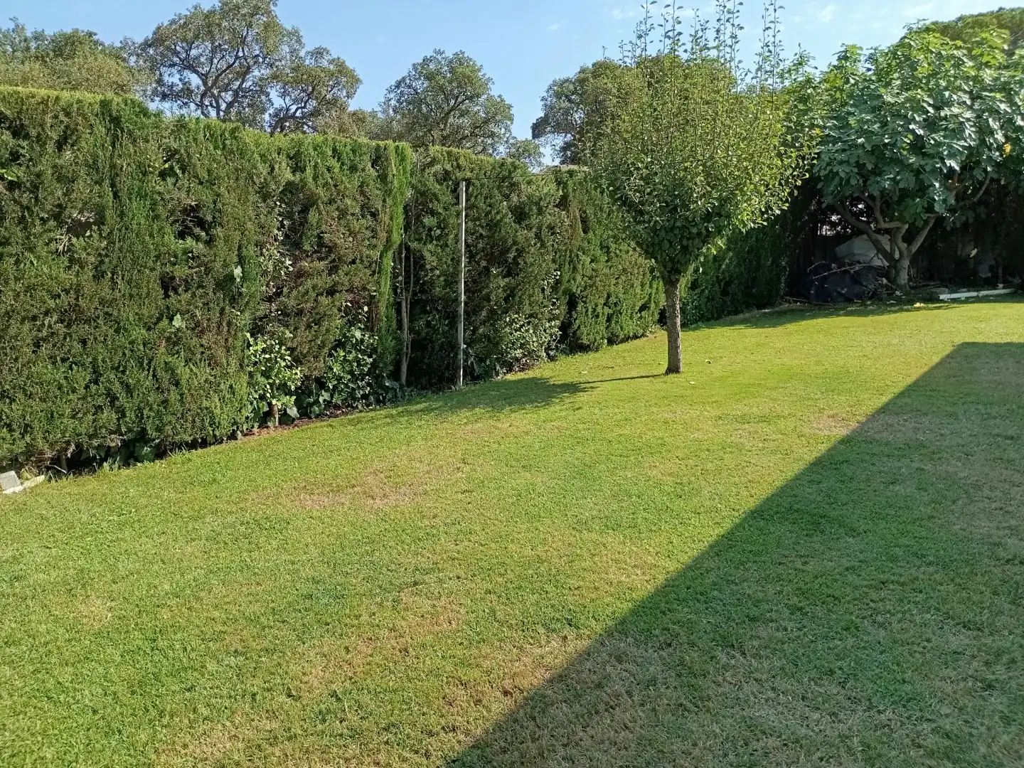Casa con jardín en venta en Carrer d'Arenys de Mar 13, imagen 3