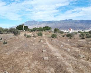 Land for sale in El Ejido