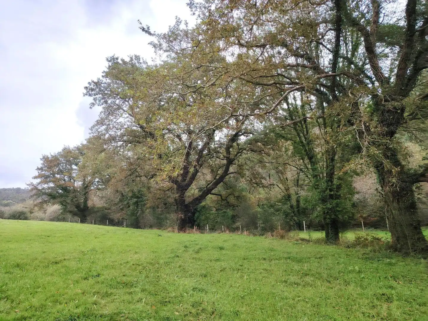 Country homes for sale in Negreira