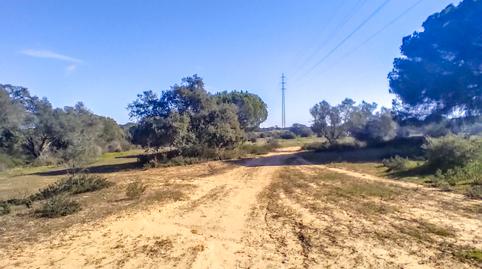 Foto 2 de Finca rústica en venda a Calle Camino de la Ermita, Villablanca, Huelva