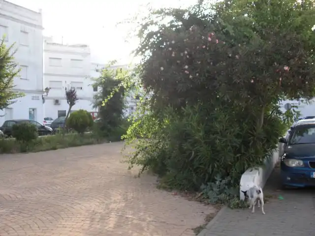 Terreno residencial en venta en Vejer, imagen 2