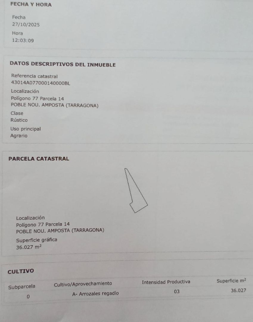 Land for sale in Amposta