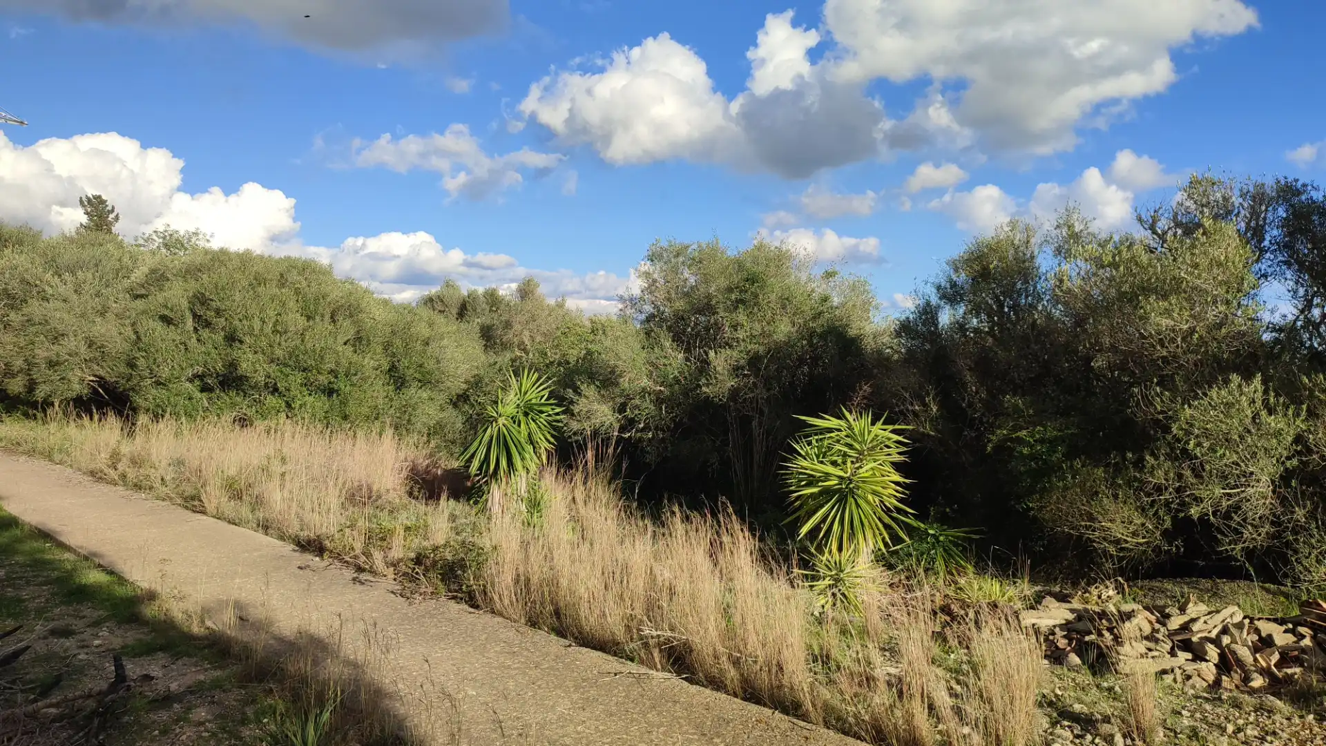 Residential land for sale in Carrer Puig des Teix 17, imagen 3