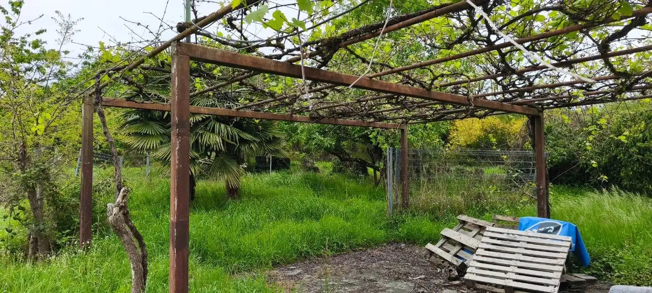 Jardín de Casa o chalet en venta en Lugo