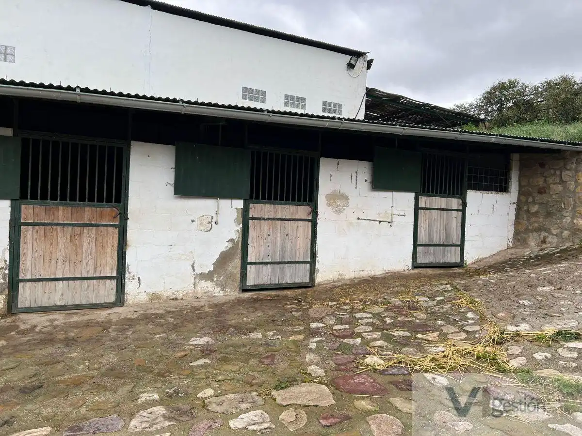 Country homes for sale in El Gastor