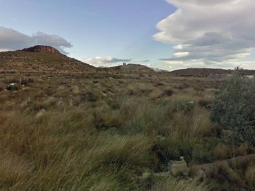 Terreny rústic en venda a Agost