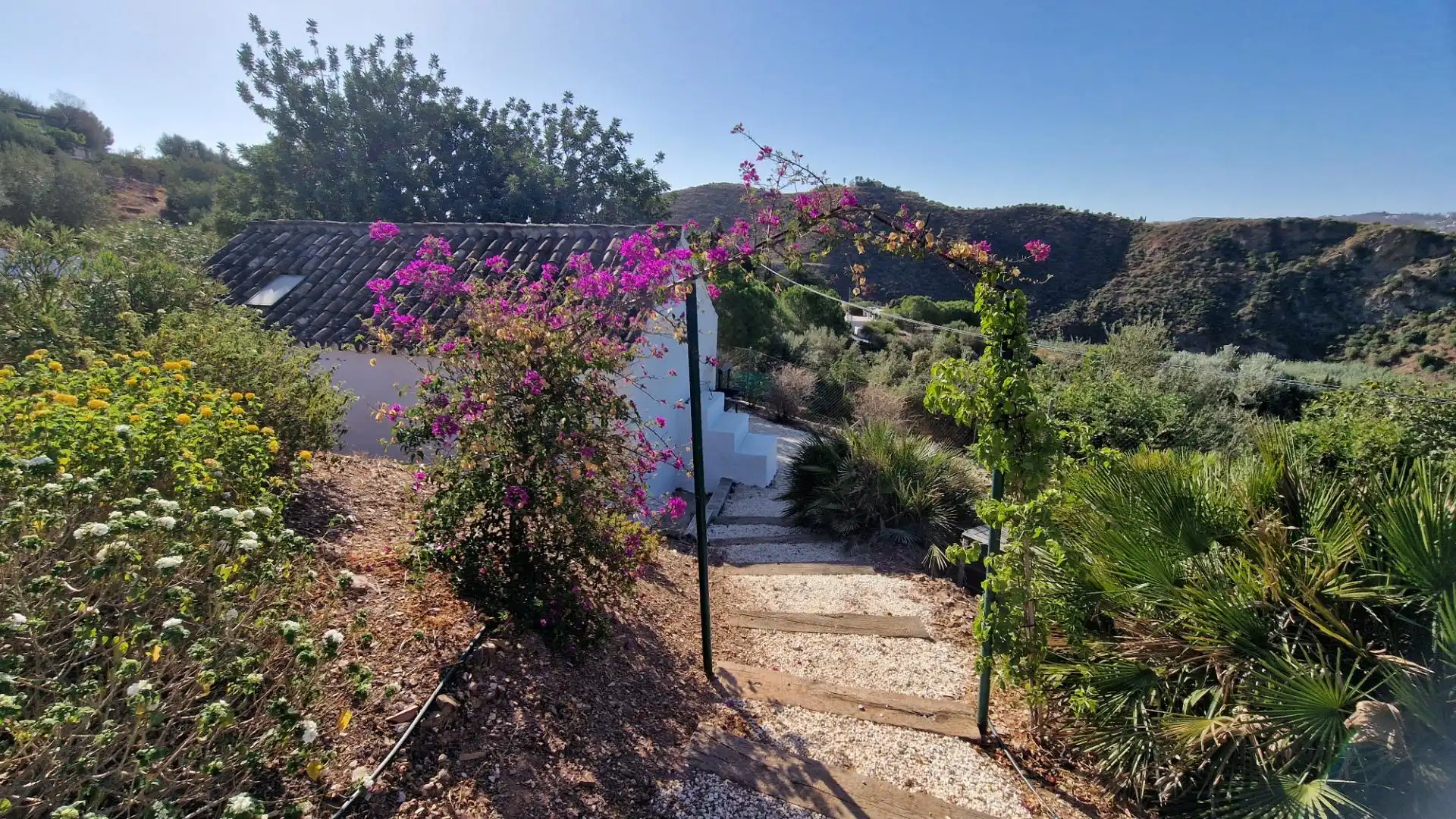Jardí de Finca rústica en venda en Mijas amb Jardí privat i Alarma