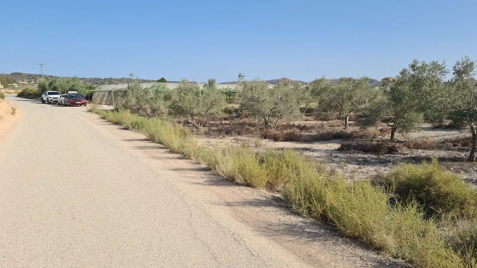 Terrenos y solares en venta en Monforte del Cid, imagen 2