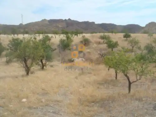 Terreno residencial en venta en Huércal-Overa, imagen 5
