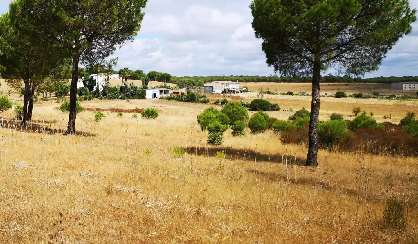 Terreni e lotti in vendita a Dehesa - Monacilla, imagen 13