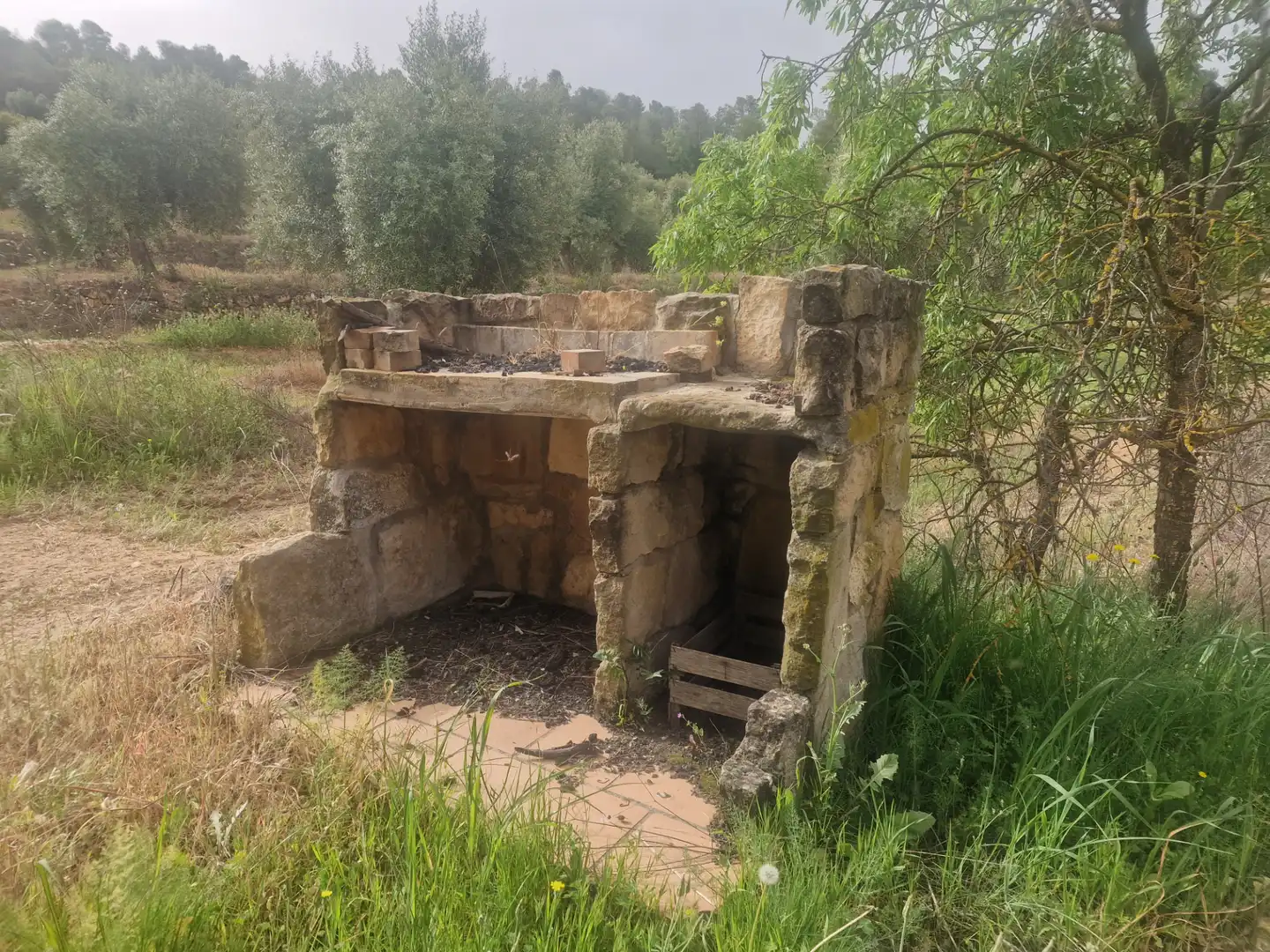 Garden of Land for sale in Juncosa