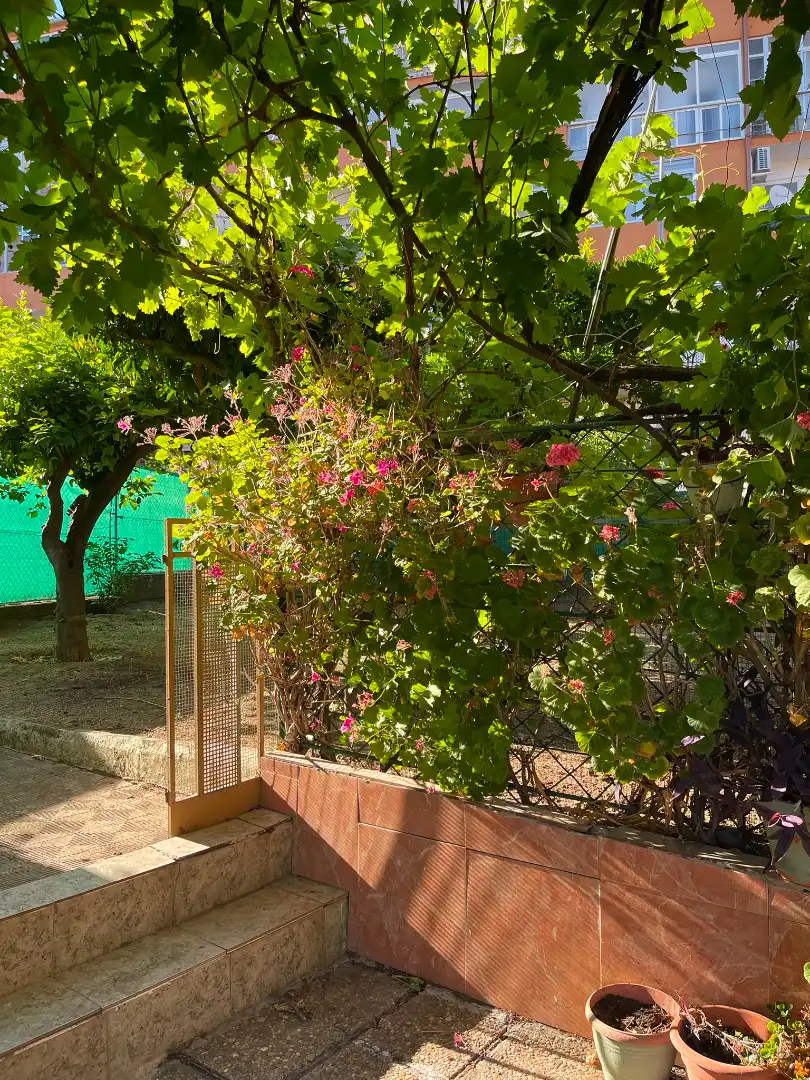 Garden of Houses for sale in Plasencia  with Heating, Private garden and Terrace