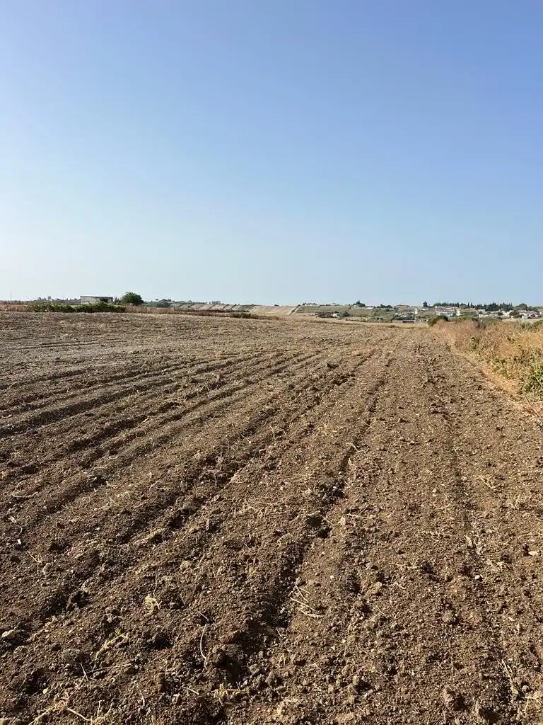 Wohnbaugrundstück zum Verkauf in Los Franceses – La Vega, imagen 6