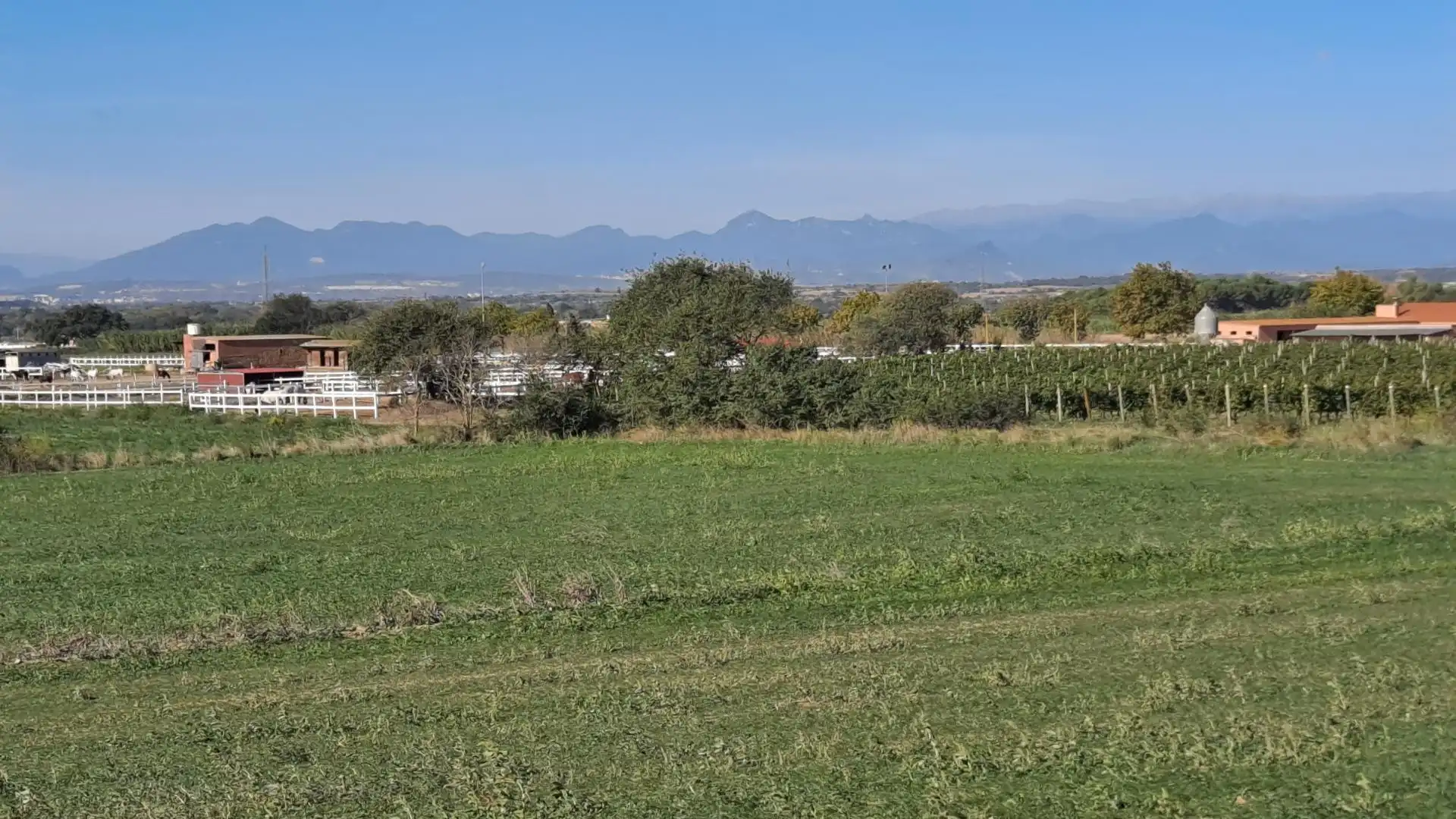 Terrenos y solares en venta en Palau-saverdera, imagen 4