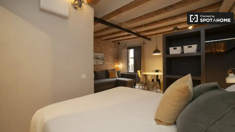 Appartamento con terrazza in affitto a Ciutat Vella, imagen 9