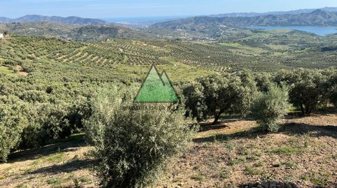 Parcela rústica agraria en Alcaucín de 16000 m2, immagine 3