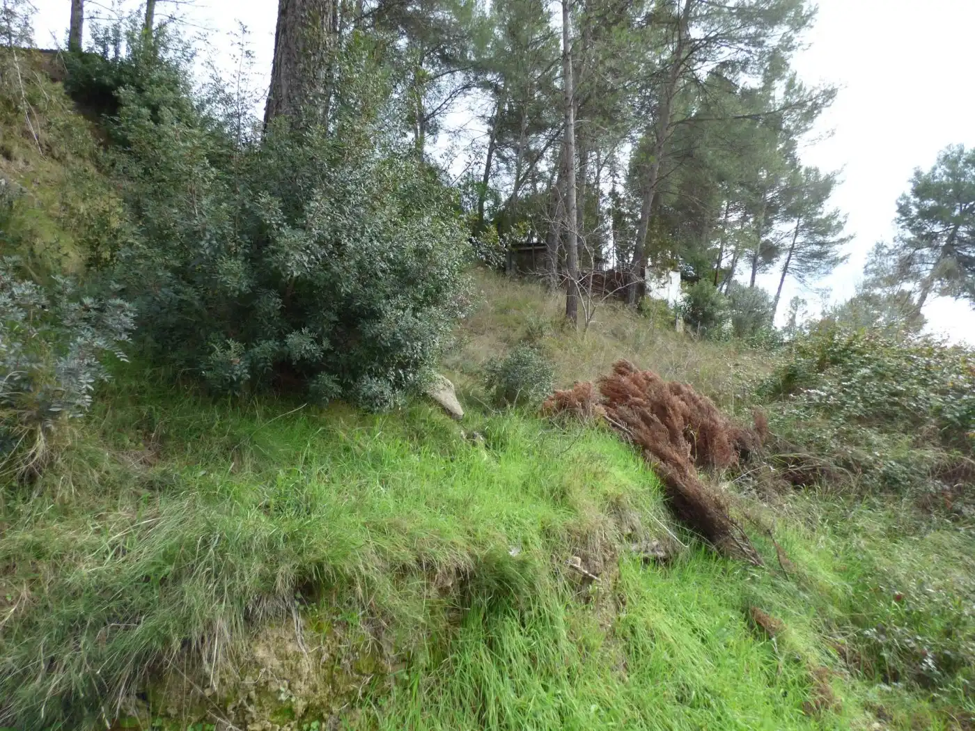 Residential land for sale in Castellgalí, imagen 3