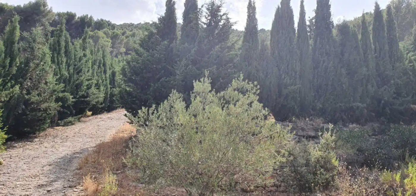 Terreni e lotti in vendita a Yunquera, imagen 9