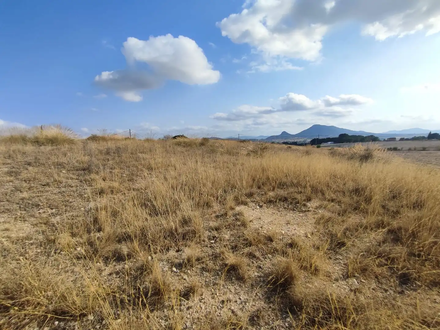 Residential land for sale in Sax, imagen 12