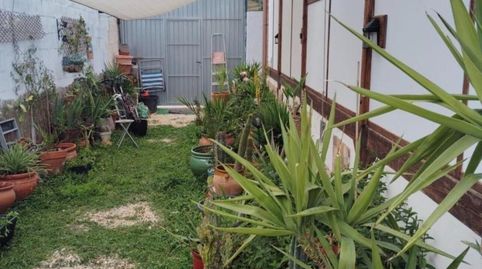 Foto 3 de Finca rústica en venta en Iznatoraf, Jaén