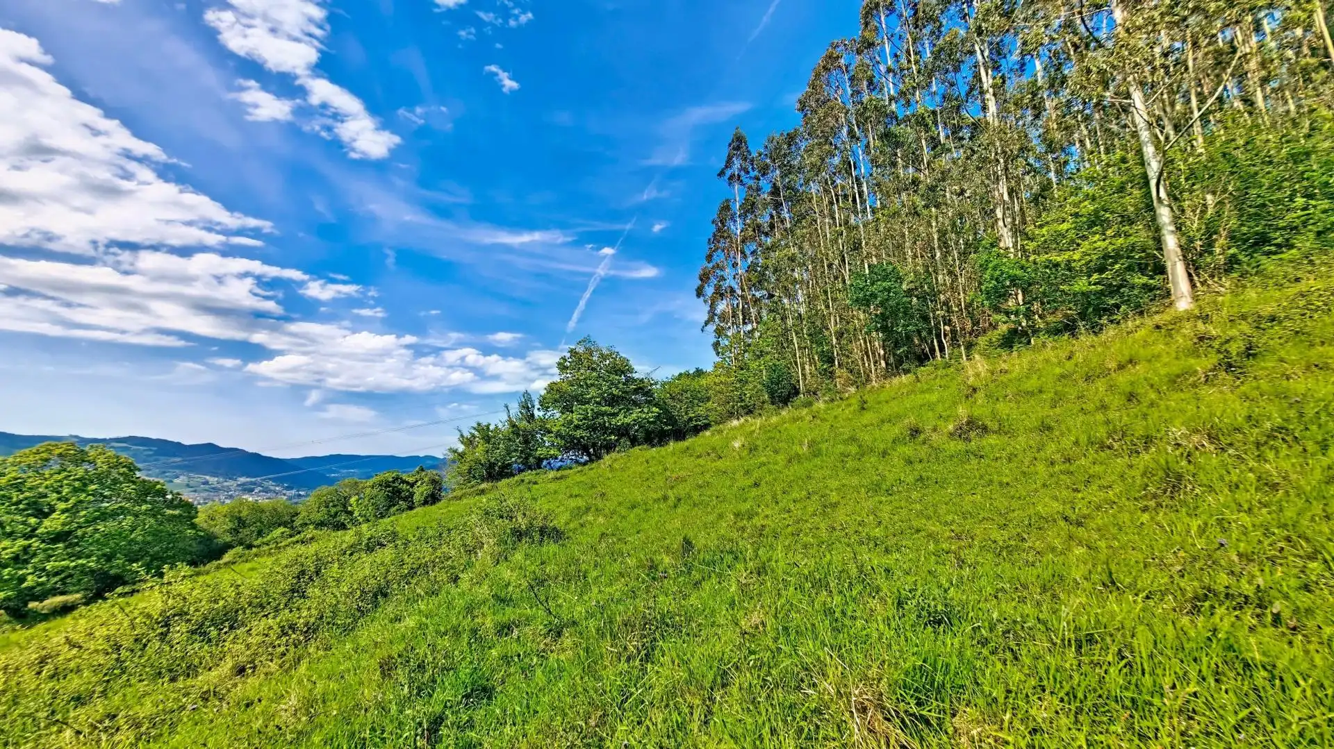 Rural land for sale in Grado, imagen 11