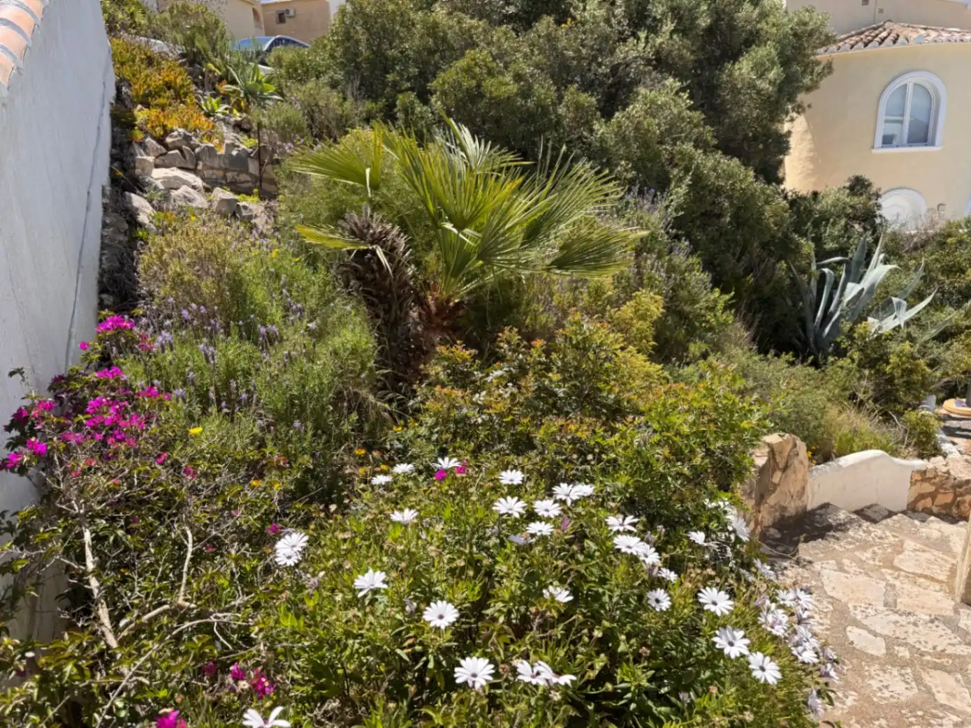 Villa mit Pool zum Verkauf in Cumbre del Sol, imagen 17