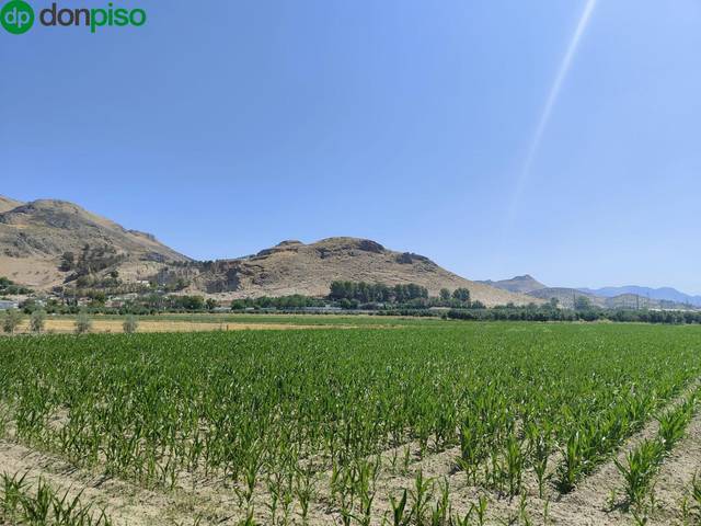 Terreno en Venta en Carretera Carretera de Pinos Puente en Atarfe