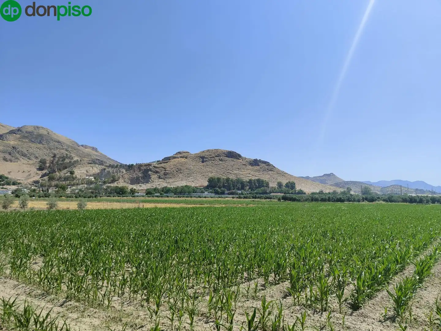 Terreni e lotti in vendita a Carretera Carretera de Pinos Puente