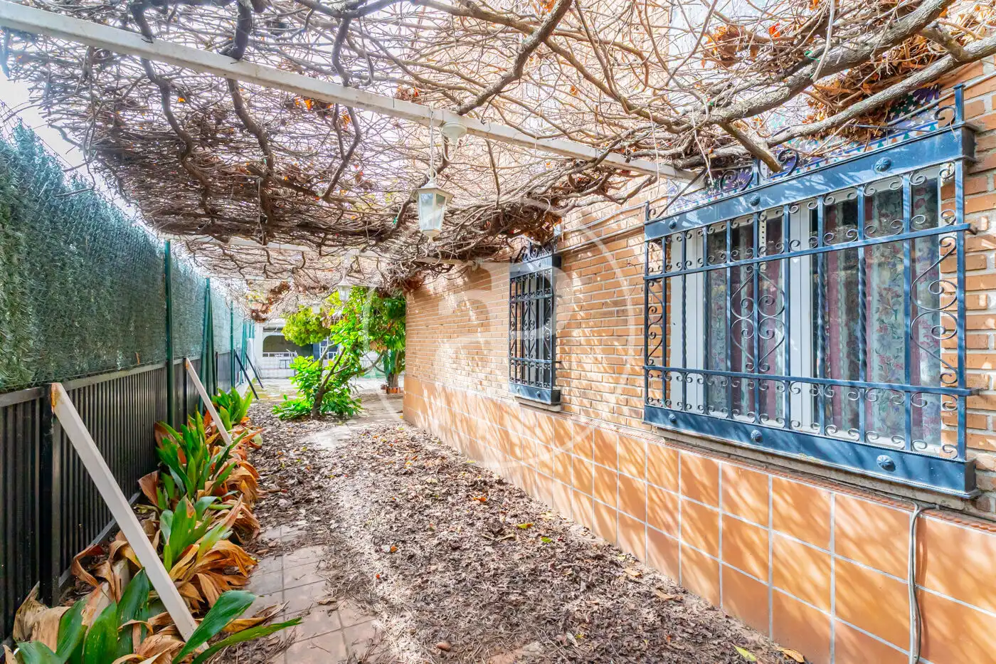 Jardín de Casa o chalet en venta en Pozuelo de Alarcón con Calefacción, Jardín privado y Terraza