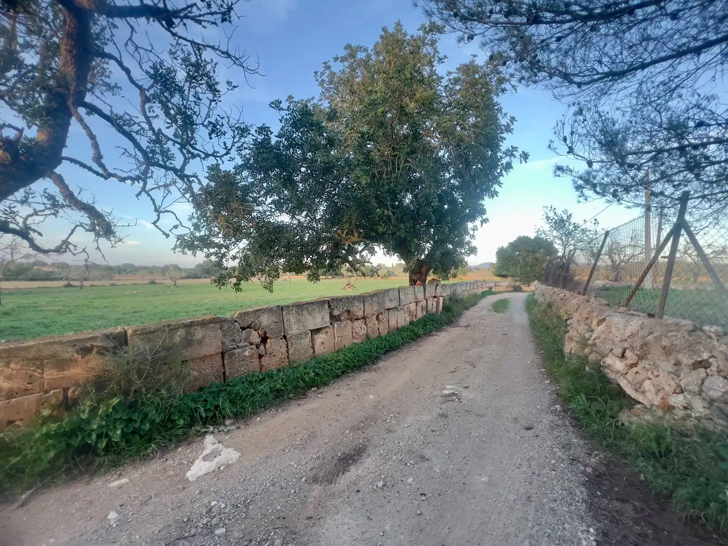Rural land for sale in Cas Concos - Santanyí, imagen 21