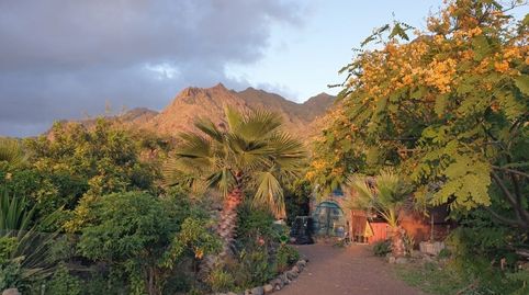 Foto 2 de Finca rústica en venta en Bajamar, San Cristóbal de la Laguna