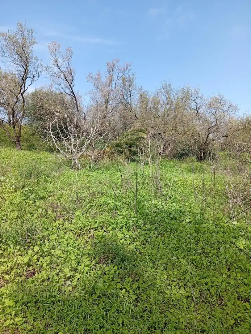 Finca rústica en venda en Chiclana de la Frontera