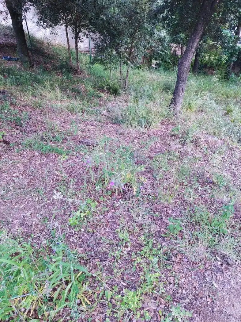 Terreny residencial en venda a Gualba, imagen 10