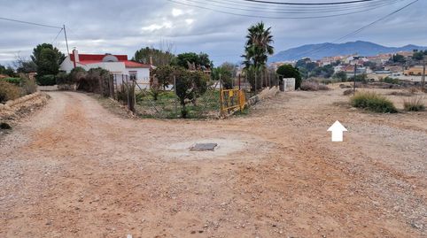 MonóvarMonòverTerreno, imagen 5