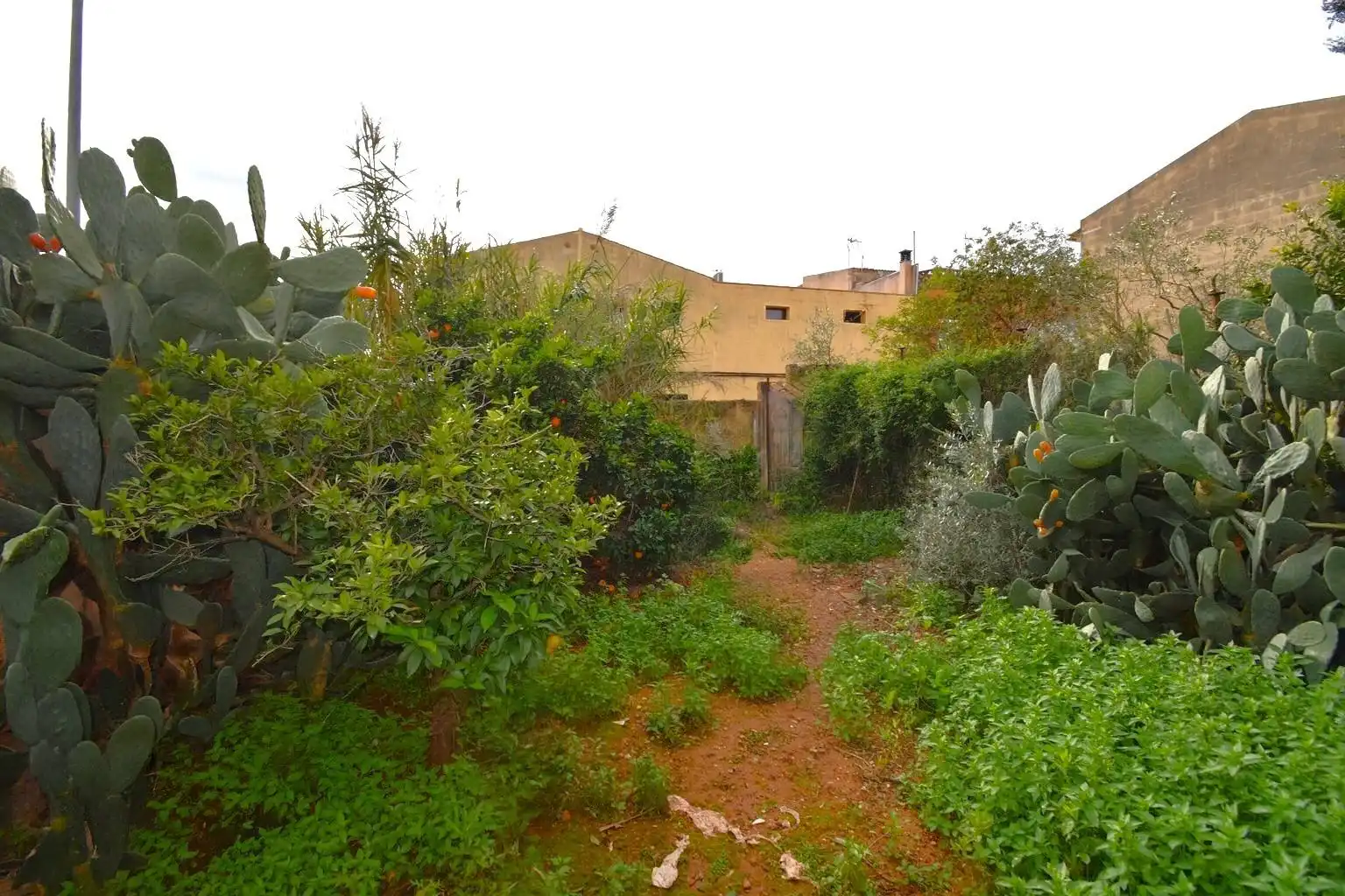 Lands and plots for sale in Carrer del Bisbe Miquel Moncadas, imagen 9