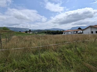 Rural land for sale in Villanueva de la Peña - REVIA