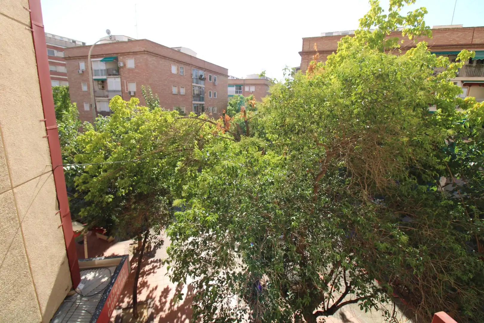 Jardí de Pis de lloguer en Murcia amb Aire condicionat, Jardí privat i Terrassa