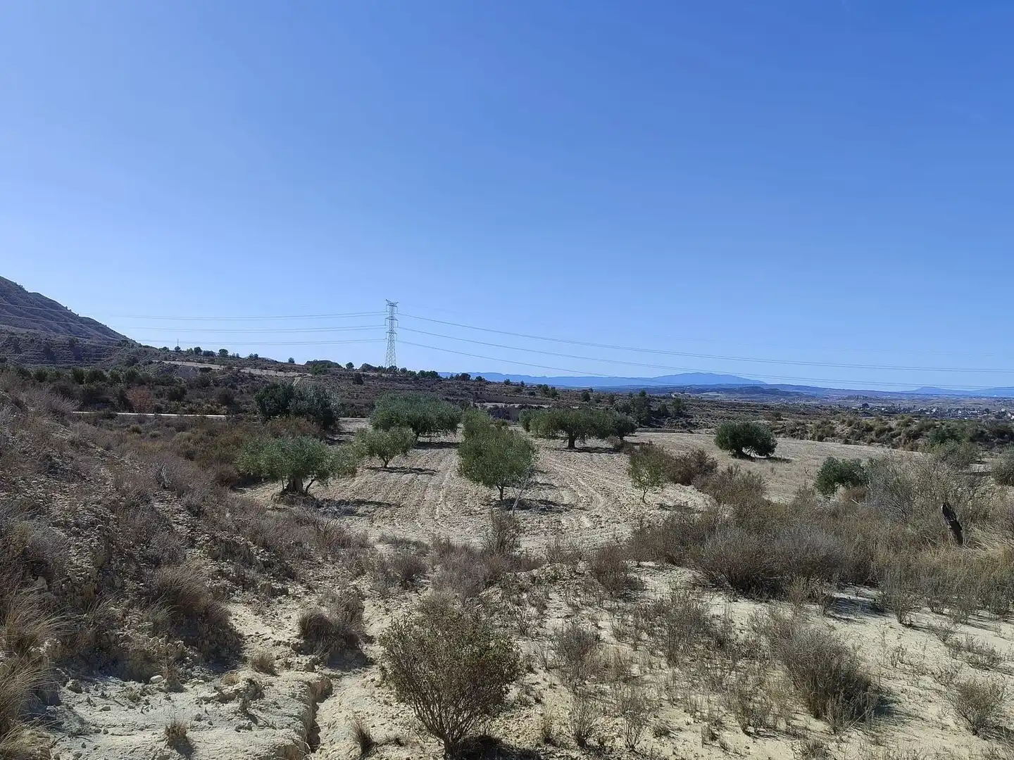 Lands and plots for sale in Abanilla, imagen 11