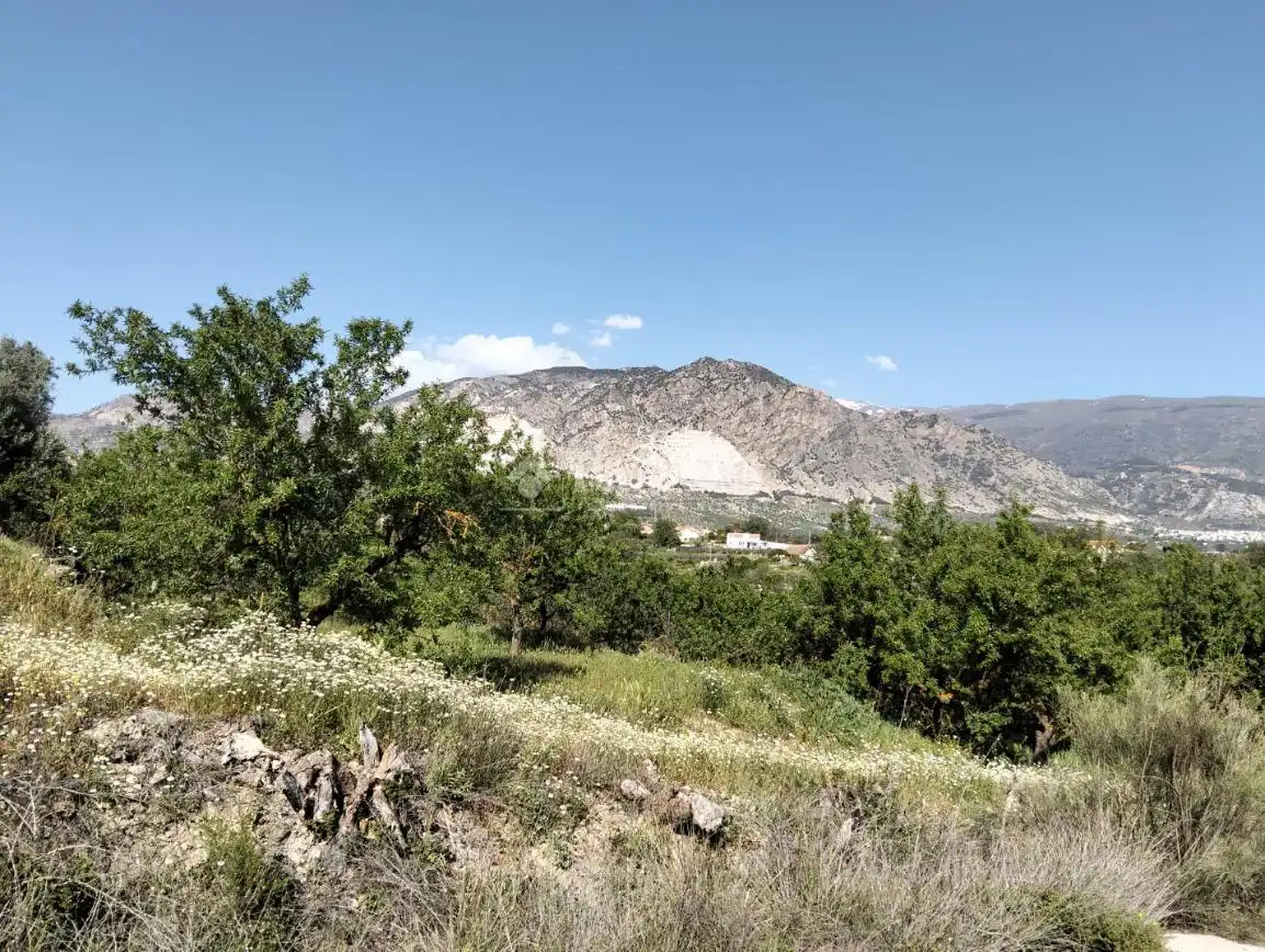 Rural land for sale in Dúrcal, imagen 10