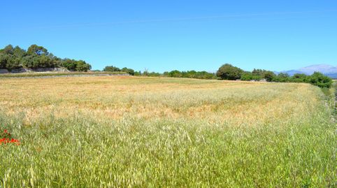Foto 4 de Finca rústica en venta en Muro, Illes Balears