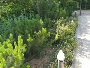 Villa mit Pool zum Verkauf in Villarrobledo, imagen 5