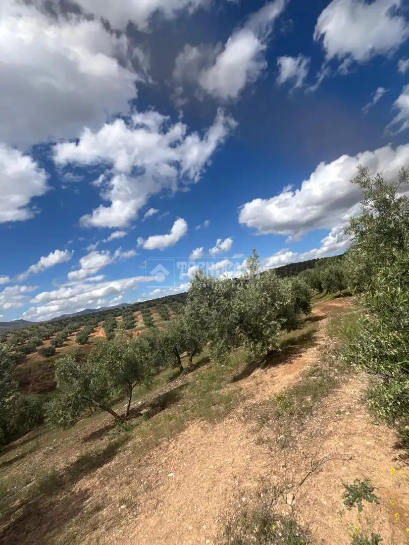 Terreno rustico in vendita a Calicasas