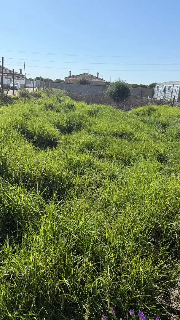 Rural land for sale in Ctra Sanlúcar - Cuatro Pinos, imagen 3