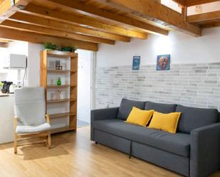 Sala d'estar de Estudi per a compartir en  Madrid Capital amb Aire condicionat, Calefacció i Terrassa